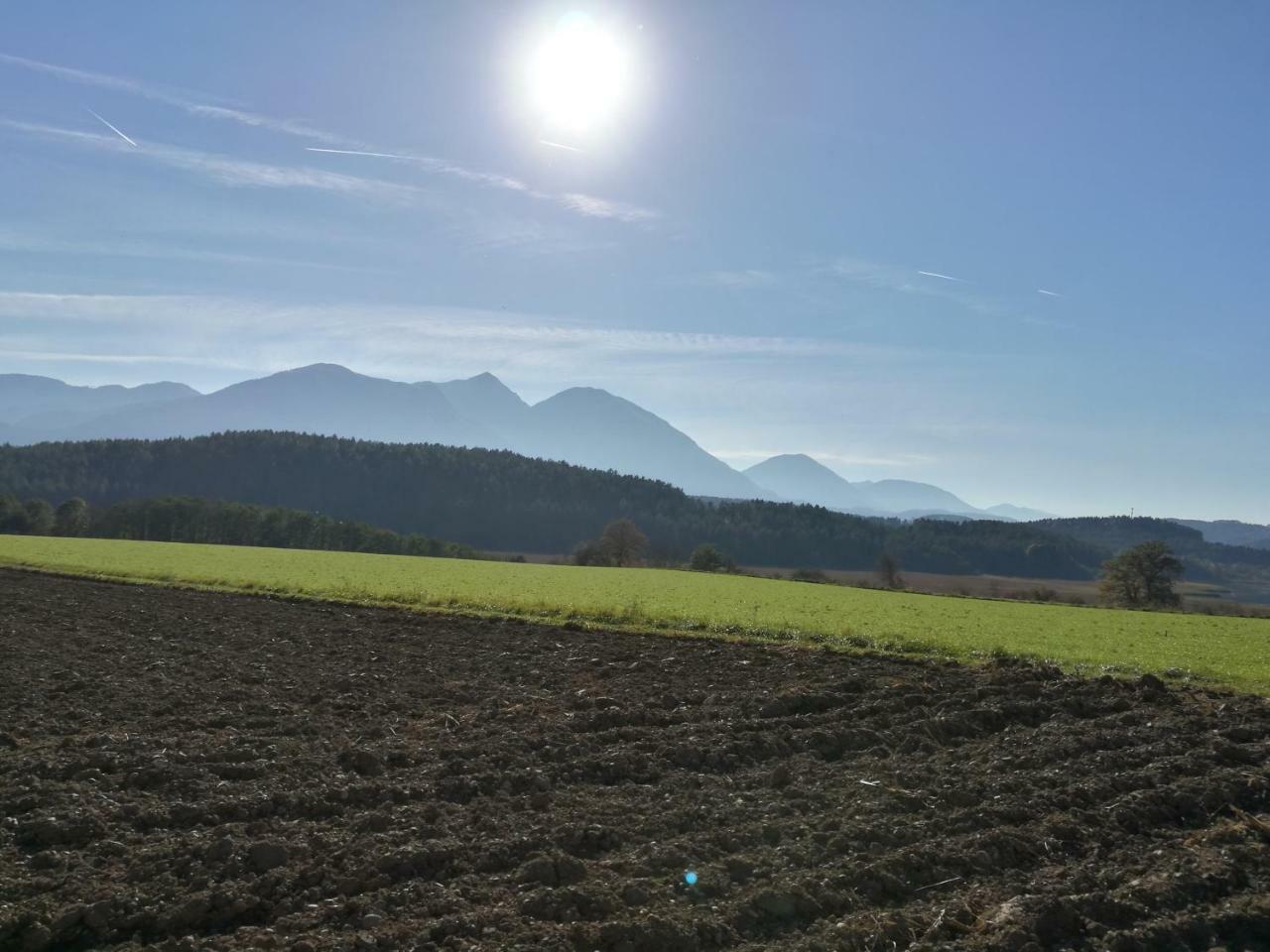 Landgasthof Piroutz Sankt Kanzian am Klopeiner See Екстериор снимка